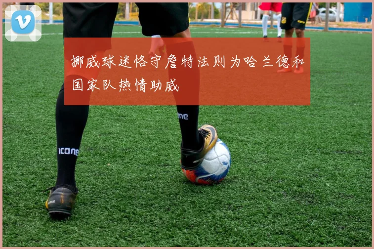 挪威球迷恪守詹特法则为哈兰德和国家队热情助威