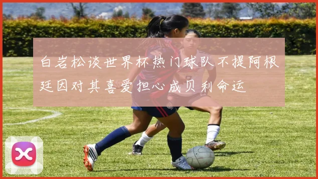 白岩松谈世界杯热门球队不提阿根廷因对其喜爱担心成贝利命运